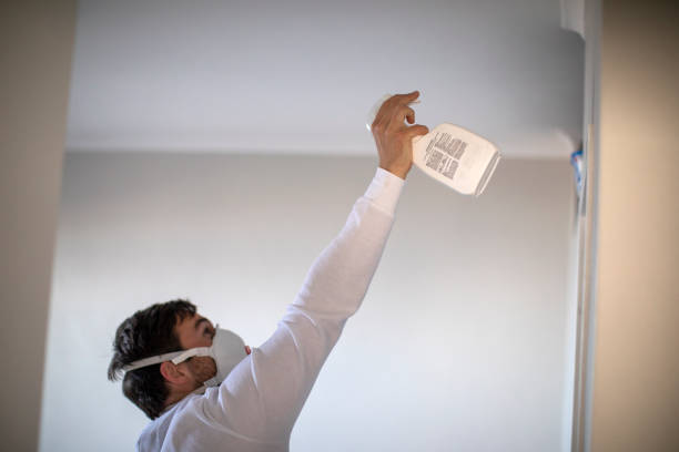 Best Crawl Space Mold Removal  in Glouster, OH